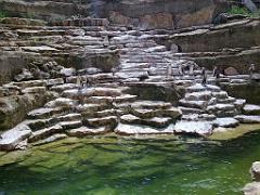 149 BIO PARC DE DOUE LA FONTAINE 6- 2016_000035